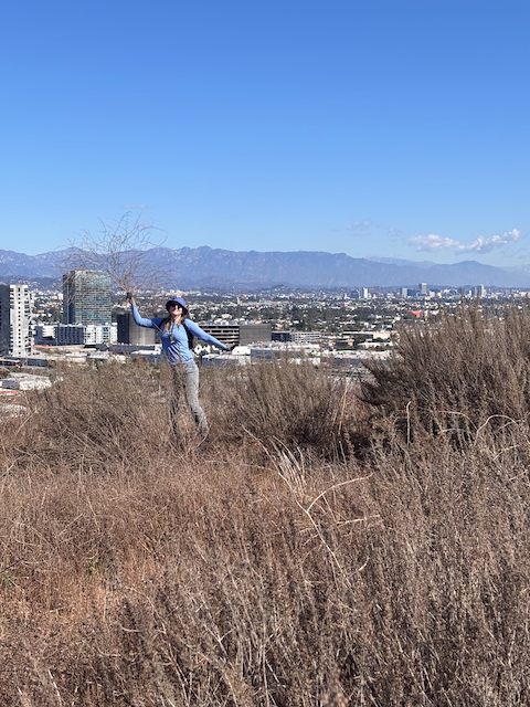 Pulling weeds at Baldwin Hills Scenic Overlook